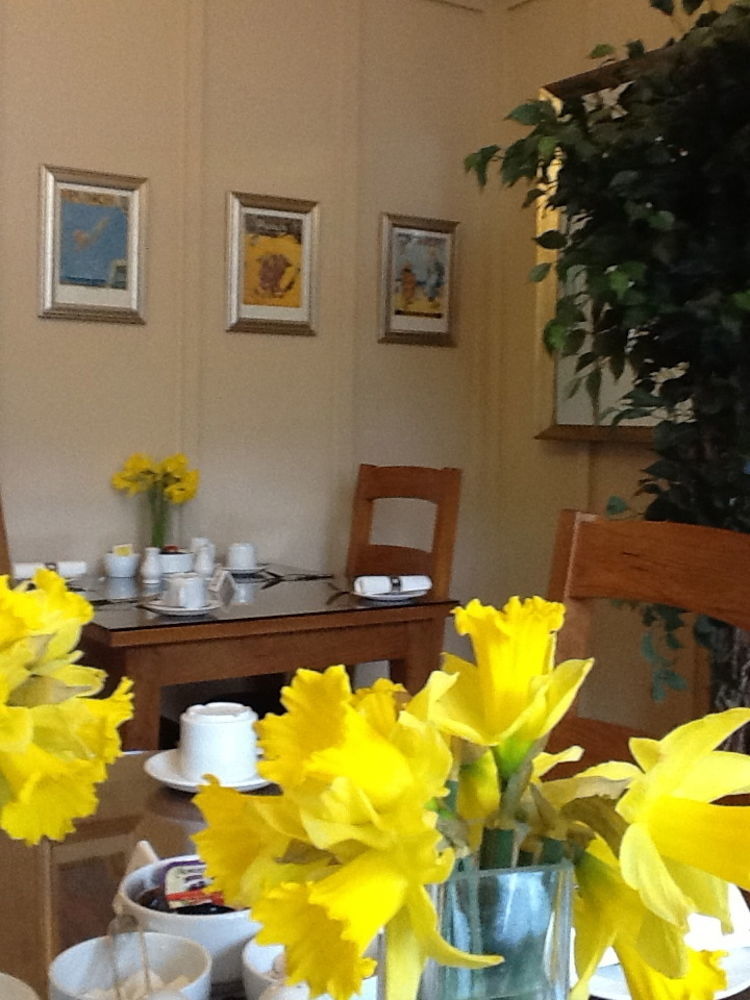The Groveside Guest House Sidmouth Eksteriør billede